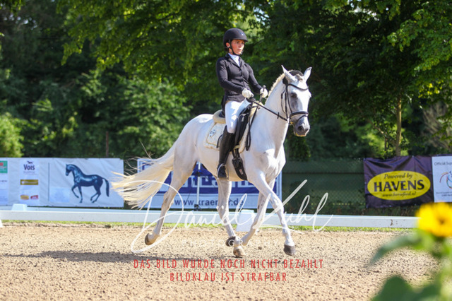 DKP42867 | Turnierfotos kaufen im Webshop von Daniel Kuhl Photography – entdecke professionelle Reitsportfotos aus Turnieren & Events. Hochwertige Turnierbilder online bestellen & sichern. Jetzt Fotos von Reitsportturnieren kaufen!