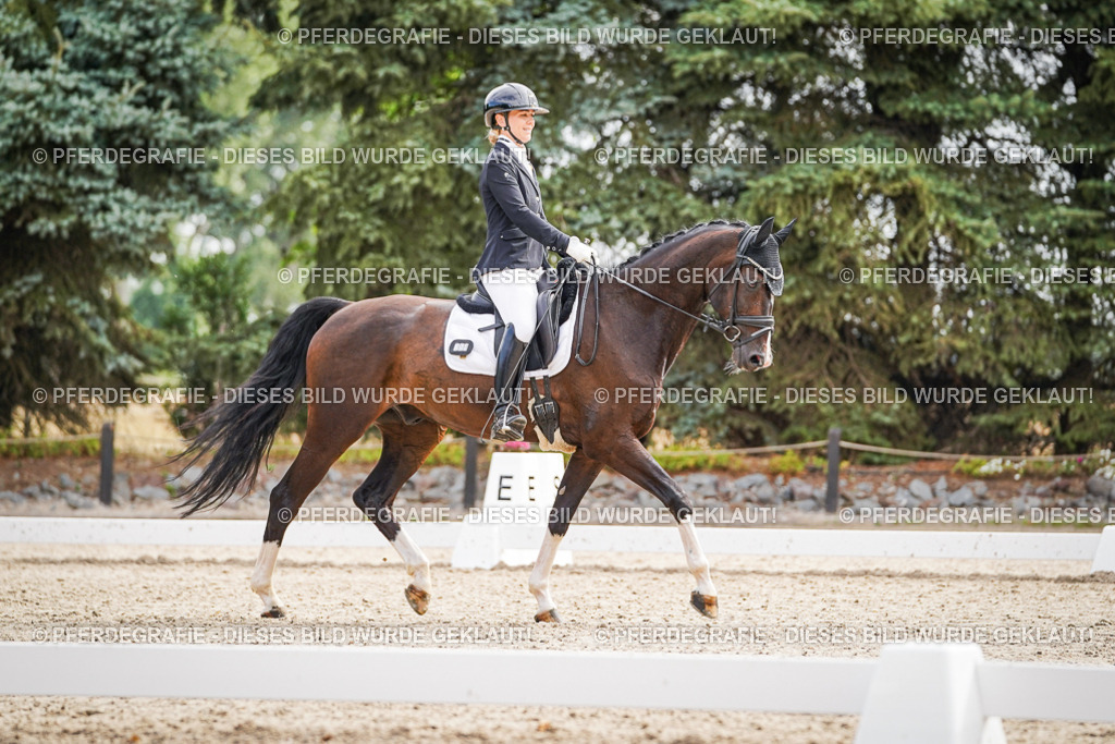 DSC01632 | Pferdegrafie