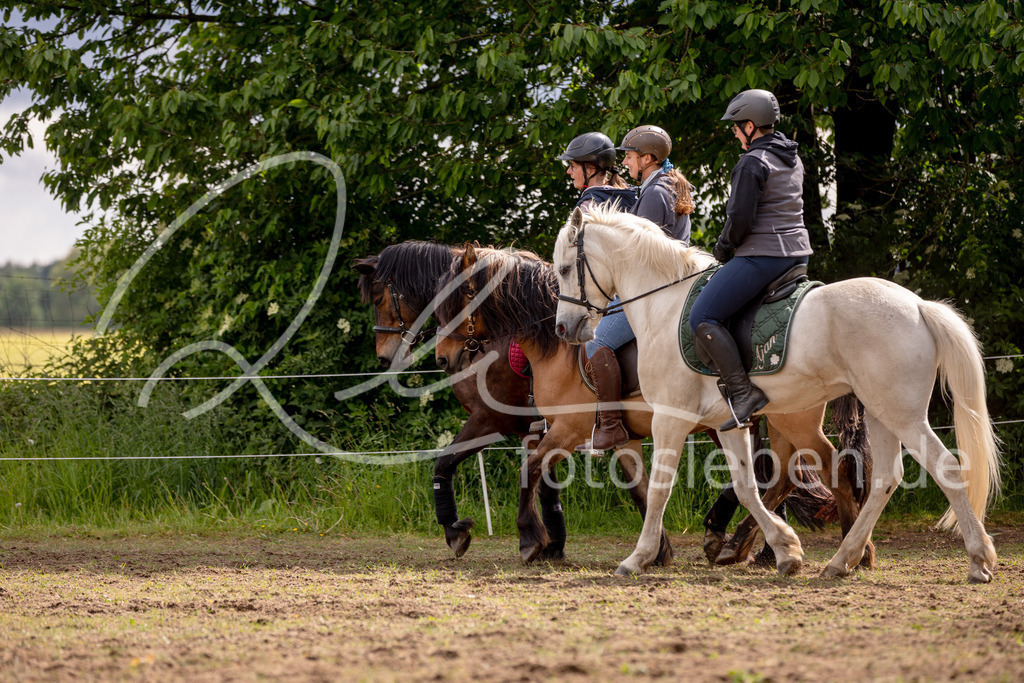 846A0894 | fotosleben - Realisiert mit Pictrs.com