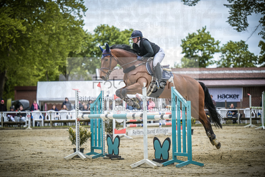 DOS_6446 | Entdecke hochwertige Reitturnierfotos von Foto Oger. Professionell, emotional und authentisch – jetzt Lieblingsmomente im Shop bestellen.Deutschlandweite Turnierfotografie. - Realisiert mit Pictrs.com