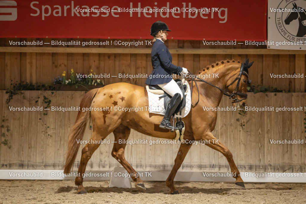 _D5A0807 | Emotionale Pferde- & People-Fotografie rund um Heidelberg, Leimen & Umgebung. Natürliche Fotos von Pferd, Mensch & Familie. Jetzt Termin sichern!