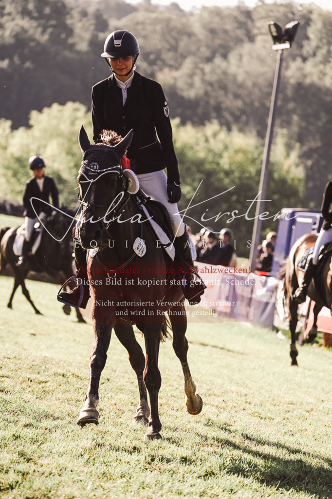 DSC_4646 | Pferde- und Turnierfotografie in Westsachsen. Pferdeportraits, Auftragszeichnungen und intuitive Kunst.