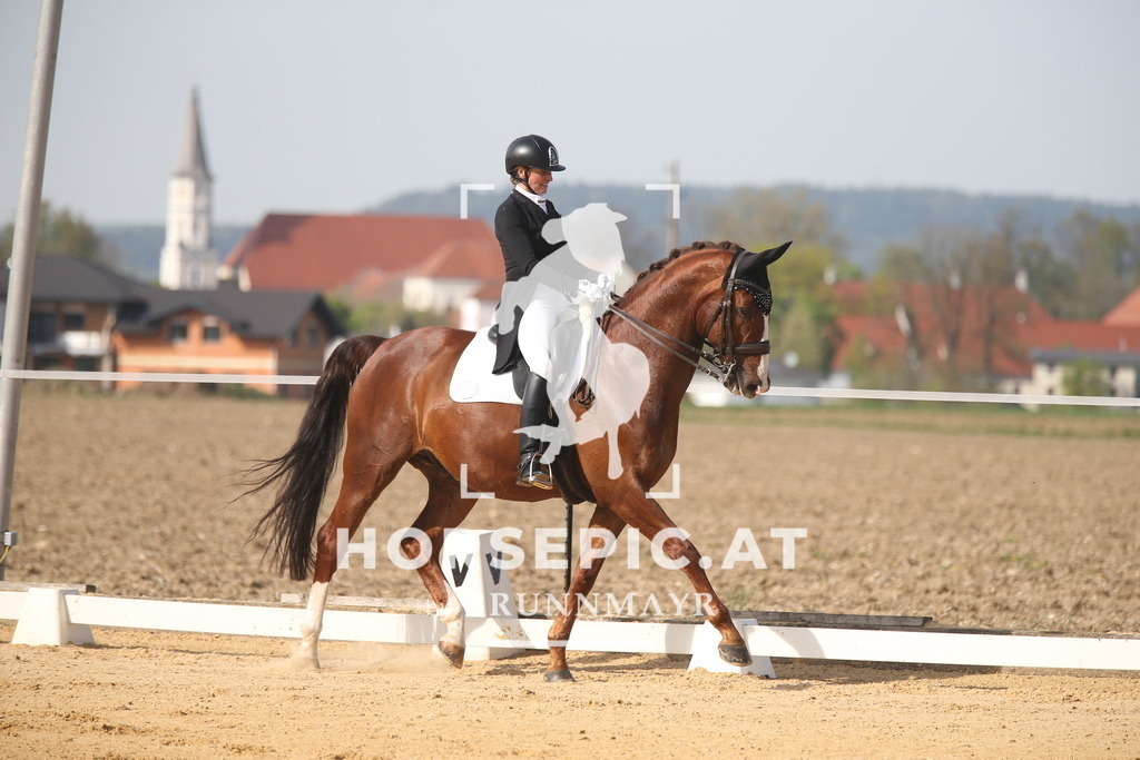 AS8V3756 | Willkommen bei Brunnmayr - Design & Fotografie – Ihrem Spezialisten für Reitturniere und Pferdeveranstaltungen in Oberösterreich, Salzburg und Bayern! Seit über 17 Jahren sind wir leidenschaftlich dabei.