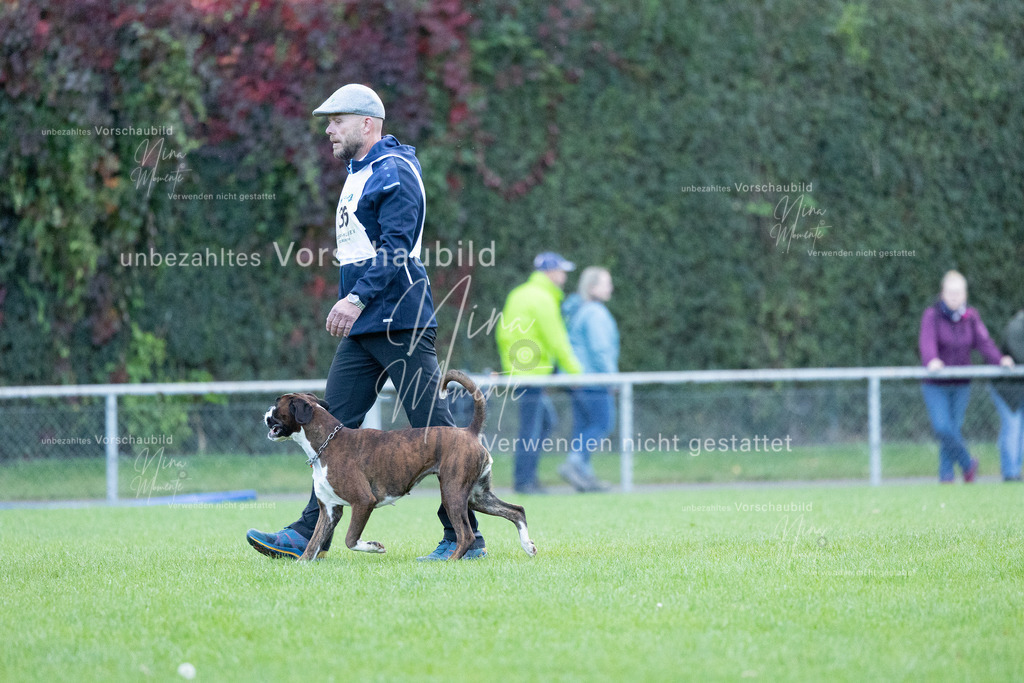 _16A4523 | Einzigartige Fotos von Hunden & Menschen –Actionfotos, Portraits, Vereinsaufnahmen & Paarshootings – authentisch, lebendig & mit Herz.