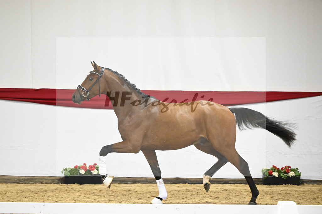 Kat-Nr. 15 v. Fuerst Samarant_Dalsem_63220681 | hf-fotografie - Realizzato con Pictrs.com
