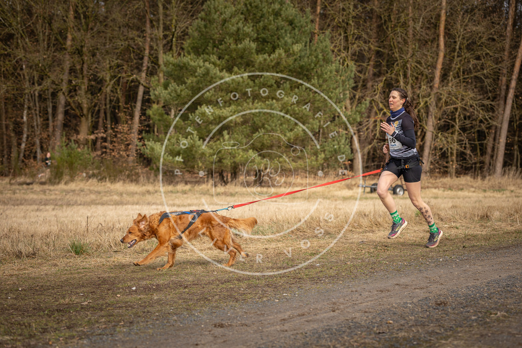DV3A4104 | Hundefotografie, Tierfotograf, Pfotenfotografie, Fotoshooting Hund, Hunde Portrait, Hundesport, Hundeportraits, Heideshooting, Hunde, Sportfotograf, Hundefotograf, Turnierhundsport, THS,  - Realisiert mit Pictrs.com
