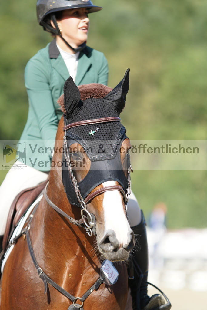 DSC00920 | equestrian-live-com