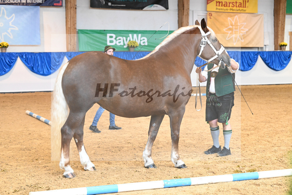 Kat-Nr. 63 Mirabell_Marchl_53220189 | hf-fotografie - Realisiert mit Pictrs.com