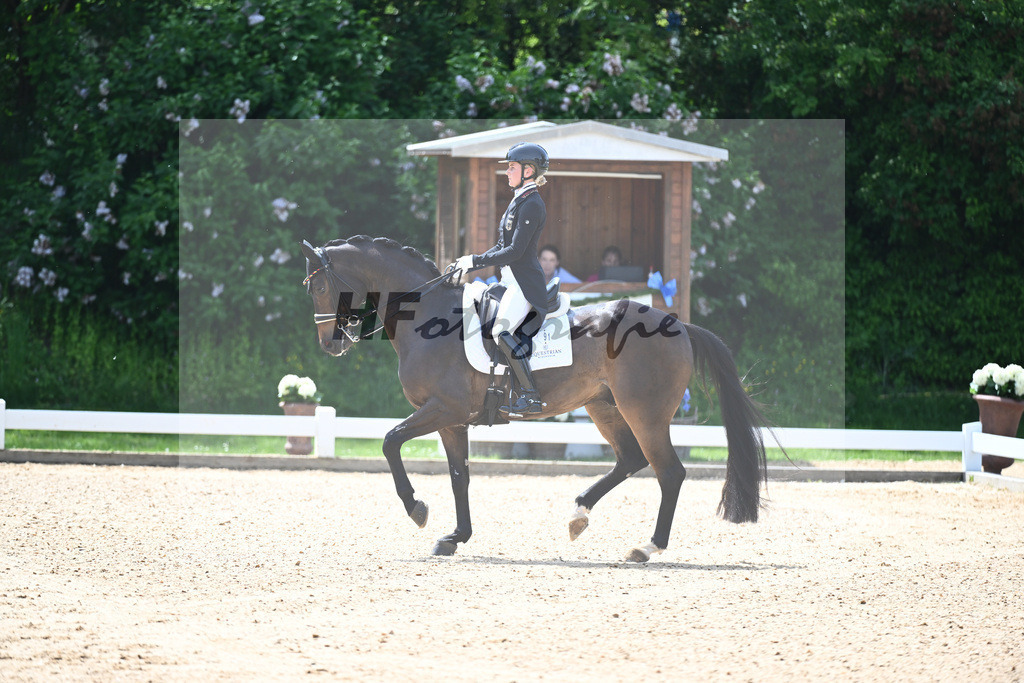 Hendricks_Drombusch OLD_12244061 | hf-fotografie - Realisiert mit Pictrs.com