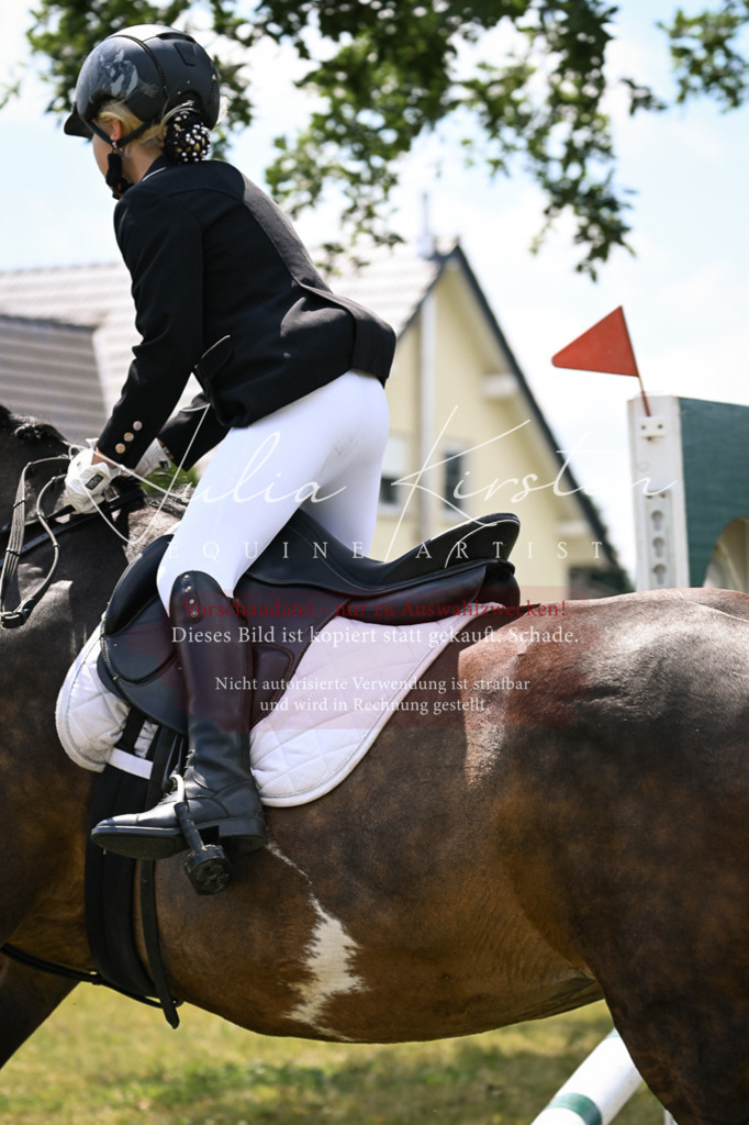 DSC_9251 | Pferde- und Turnierfotografie in Westsachsen. Pferdeportraits, Auftragszeichnungen und intuitive Kunst.