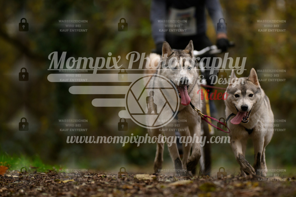 MompixPhotography_Bischwiller24_SA_VTT2-35 | PayLife