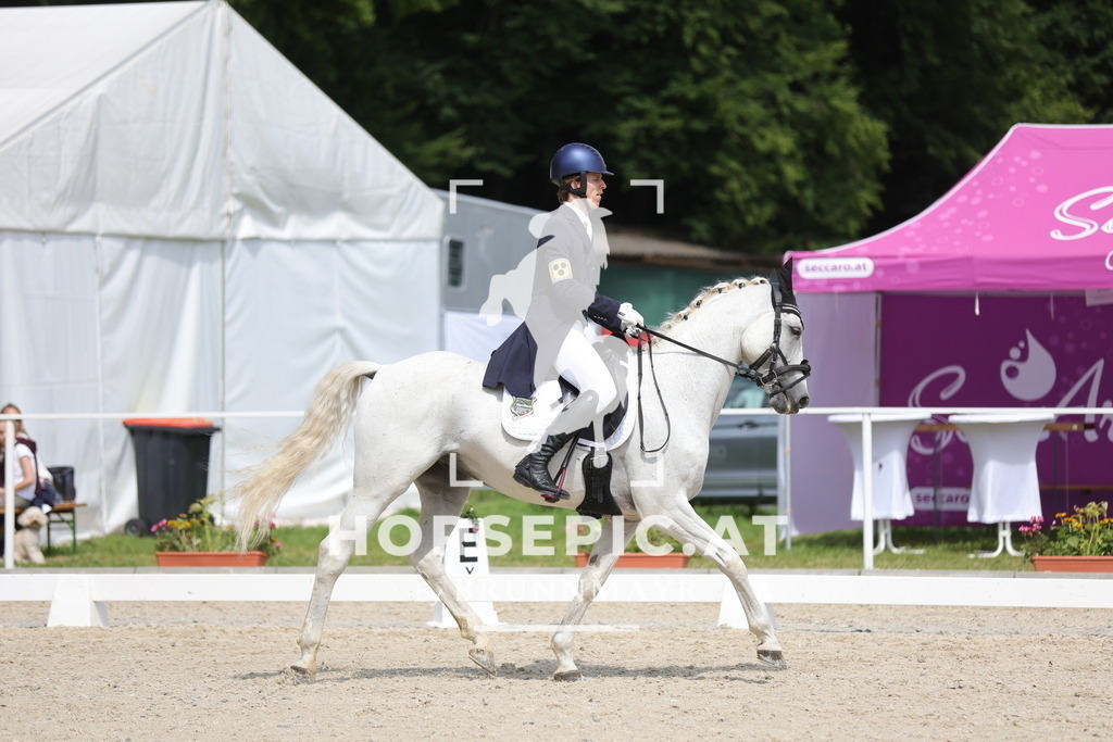 0P6A5618 | Willkommen bei Brunnmayr - Design & Fotografie – Ihrem Spezialisten für Reitturniere und Pferdeveranstaltungen in Oberösterreich, Salzburg und Bayern! Seit über 17 Jahren sind wir leidenschaftlich dabei.