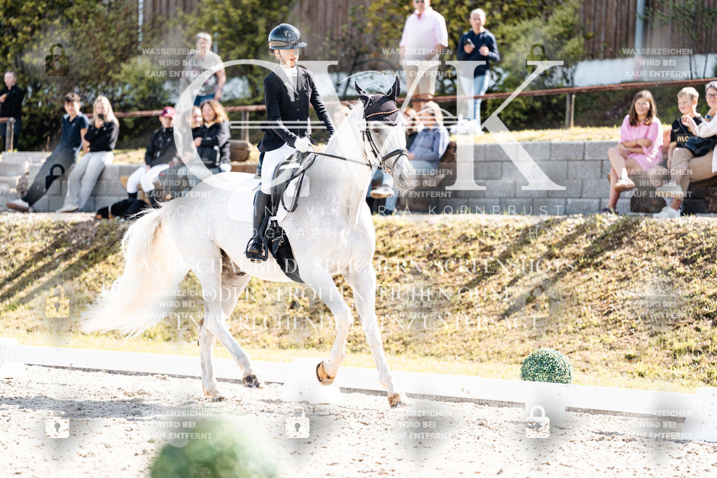 CK902981 | Turnierfotografie Pferdefotografie Trier Rheinland-Pfalz Pferdesport Reitsport Tierfotografie Sportfotografie Pferdevideo Pferdevideografie Equestrianvideography equestrianphotography  - Realisiert mit Pictrs.com