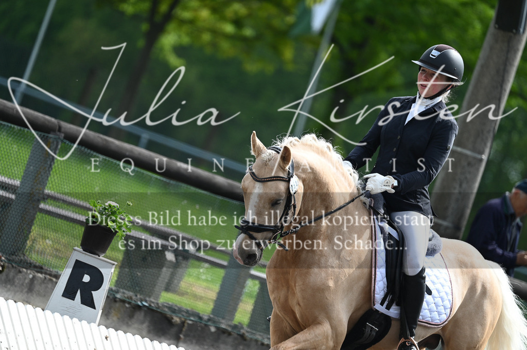 20230512_JK-Röhrsdorf-01-008 | Pferde- und Turnierfotografie in Westsachsen. Pferdeportraits, Auftragszeichnungen und intuitive Kunst.
