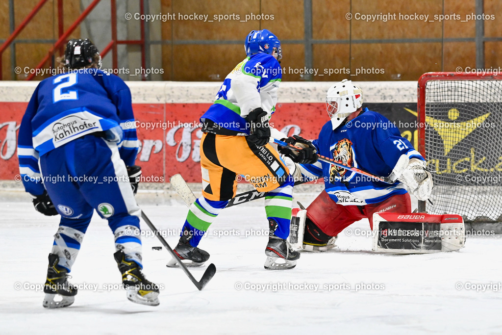 EC Tigers Paternion vs. EC Virgen 12.2.2023 | #21 Lesacher Jürgen, 