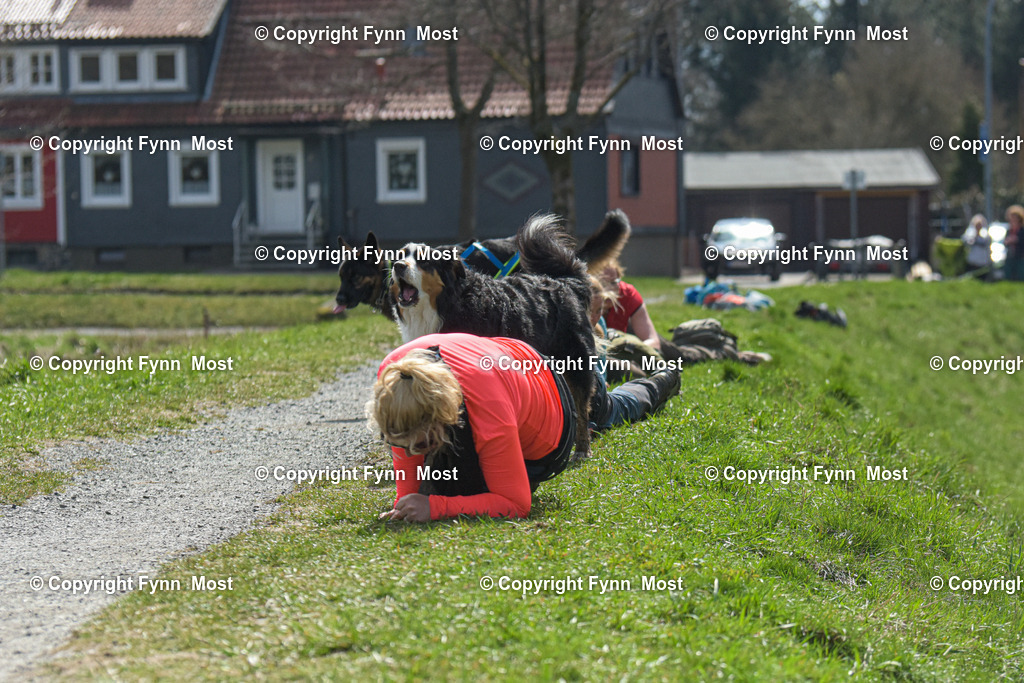 DSC_0017 | Hallo und herzlich Willkommen auf meiner Shop-Seite Fynn Most.

Ich wünsche Dir viel Spaß beim stöbern durch die Bilder, wenn Du Fragen hast oder Bilder vermisst, kannst du mir gerne eine Nachricht schreiben. - Realized with Pictrs.com