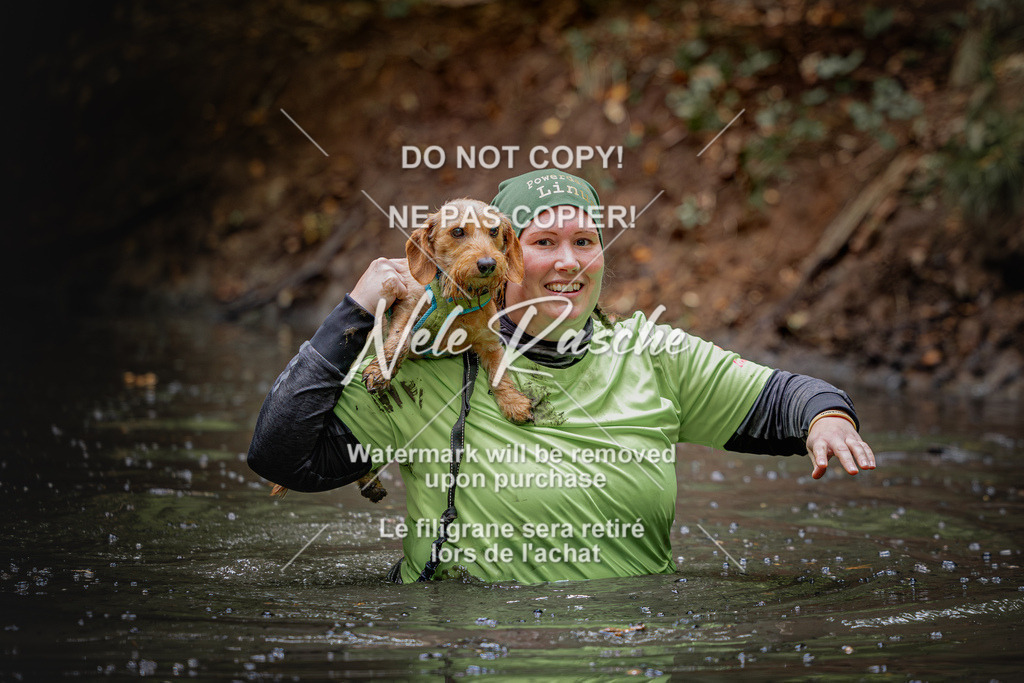 nelerasche_SaWingst1230-1300_81 | nelerasche