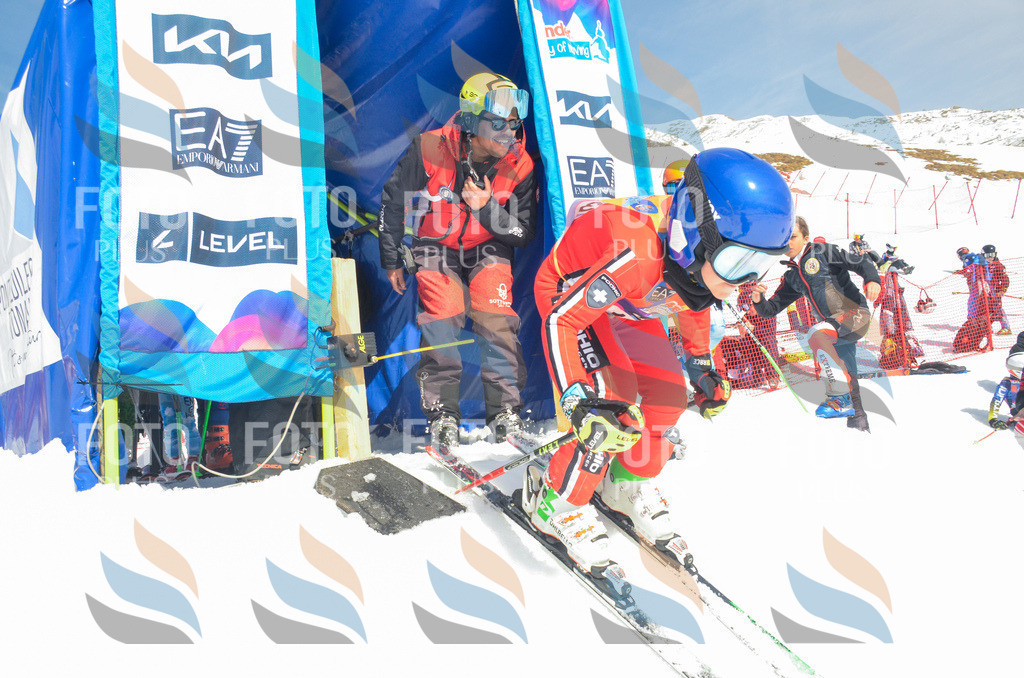 _ELE6341 | holidayphoto