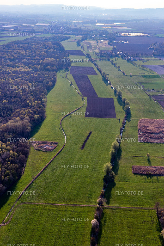 Wiesen zwischen Erlenbach und Flutgraben | Luftbild: Wiesen zwischen Erlenbach und Flutgraben in Steinweiler im Bundesland Rheinland-Pfalz in Deutschland. Foto: IMG_126511.jpg vom 20.04.2021 durch ©2025 Werner Riehm fly-foto.de/copyright - Realisiert mit Pictrs.com