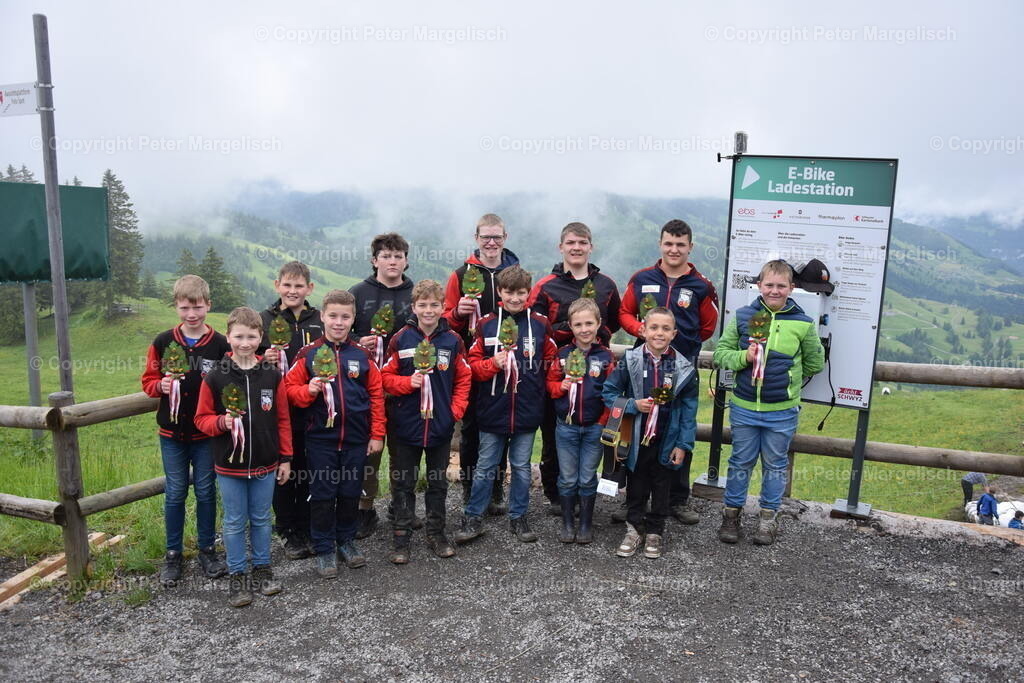 DSC_0008 | Schwingen - Realisiert mit Pictrs.com