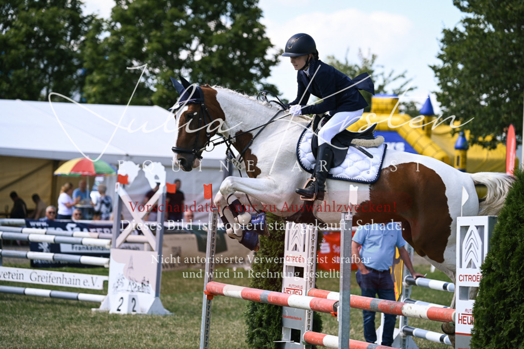 DSC_0344 | Pferde- und Turnierfotografie in Westsachsen. Pferdeportraits, Auftragszeichnungen und intuitive Kunst.