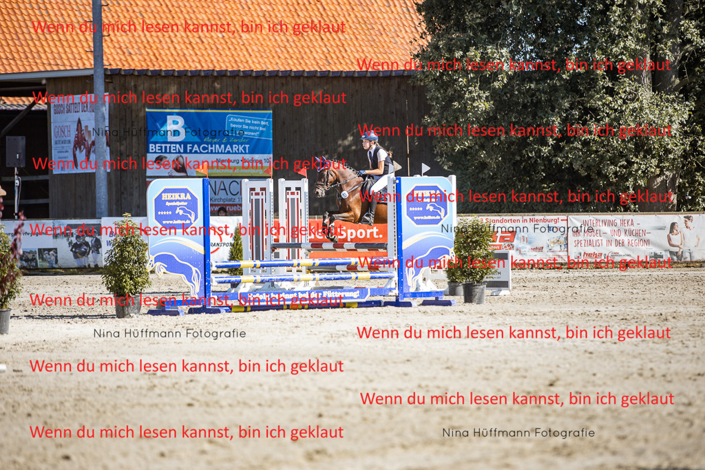 BK1A8084 | Turnierbilder Turnierfotos Nina Hüffmann Turnierfotografie Pferdefotografie Tierzeichnung Haustierzeichnung Pferdezeichnung Hundezeichnung Videograf  - Realisiert mit Pictrs.com