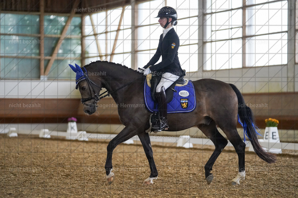 20240825-FAH09185 | Turnierbilder, Reitsportfotos, LAPO, Landesponyturnier, Turnierfotografen Bayern