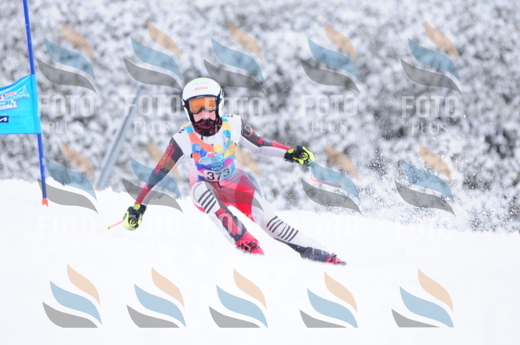 C3973 | holidayphoto