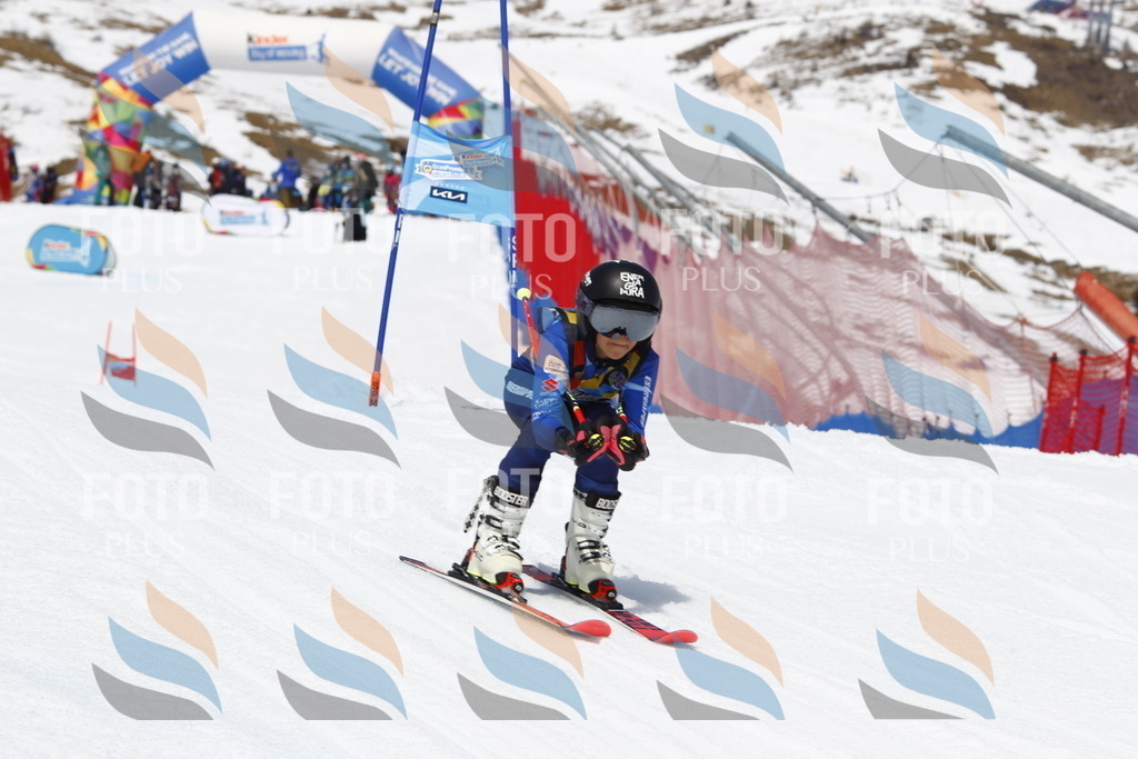 _U3G7998 | holidayphoto