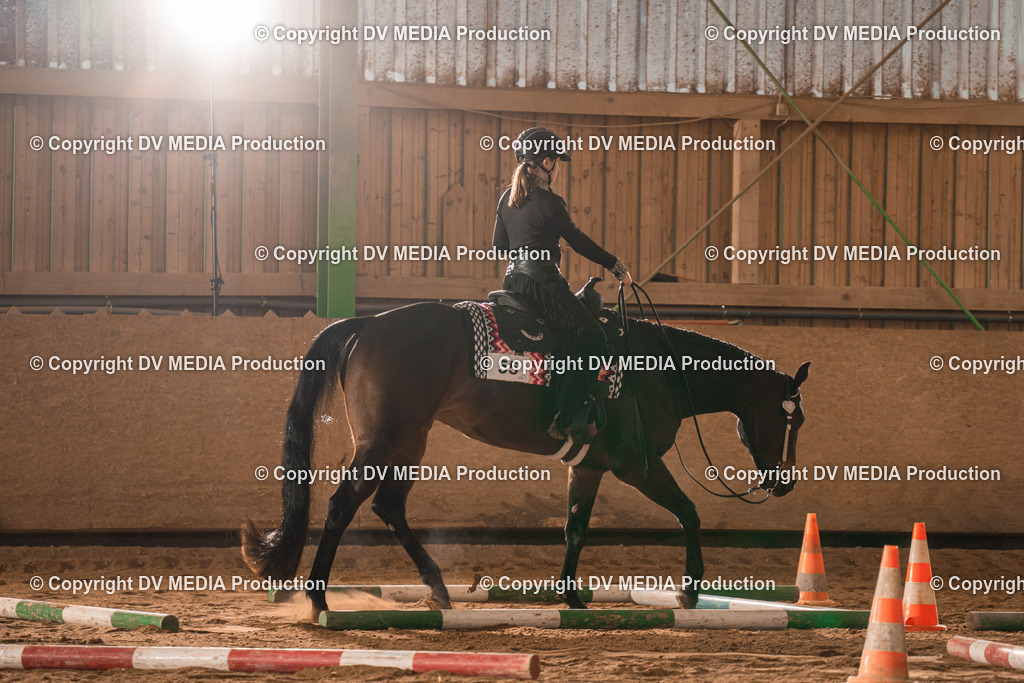 BA400025 | dv-media-shop - Realisiert mit Pictrs.com