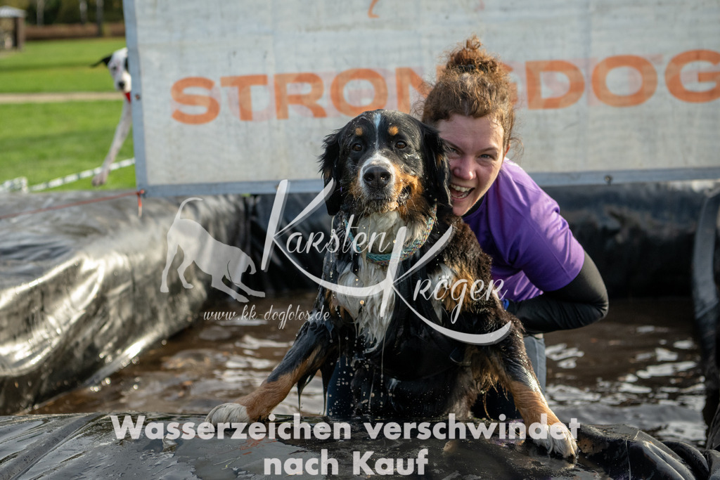 1016_ZZ99156 | kk-dogfotos