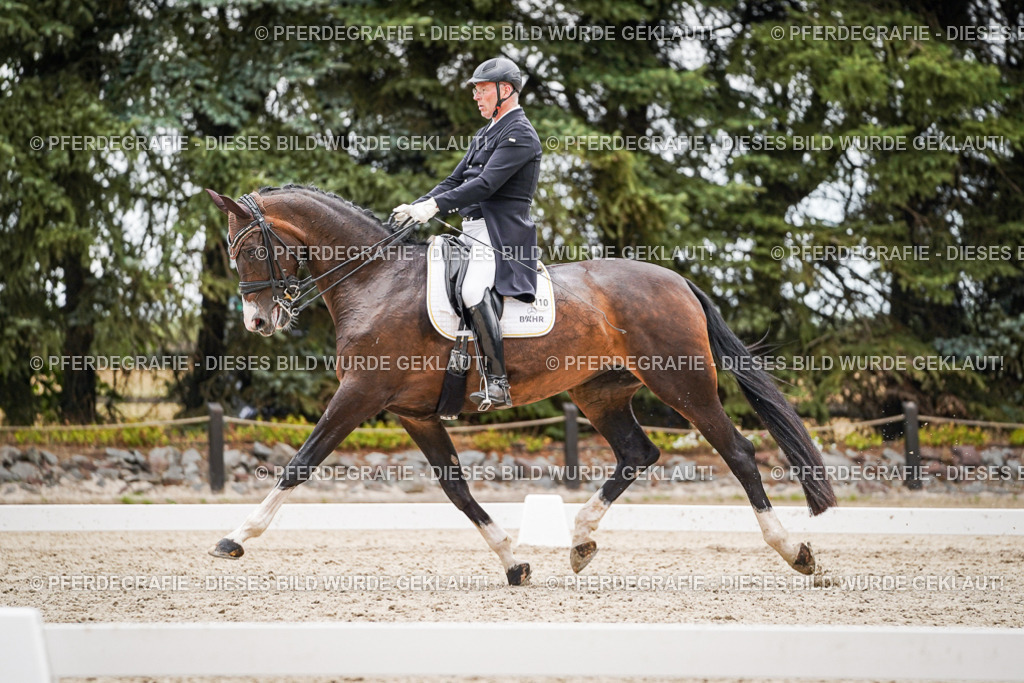 DSC06891 | Pferdegrafie