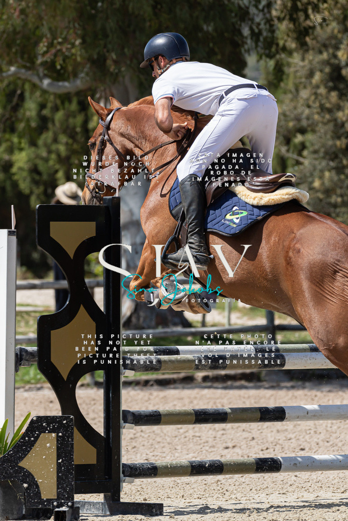 IMG_0598 | s-jay-photography - Realisiert mit Pictrs.com