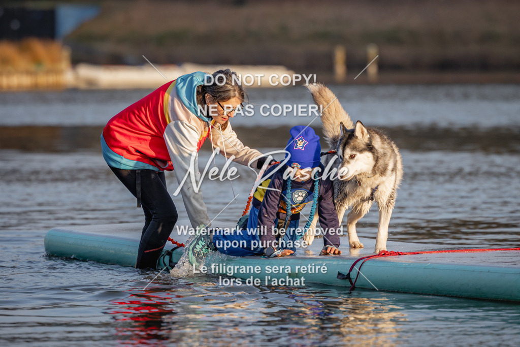 nelerasche_Hulsbeek_Sa1730-Ende_185 | nelerasche