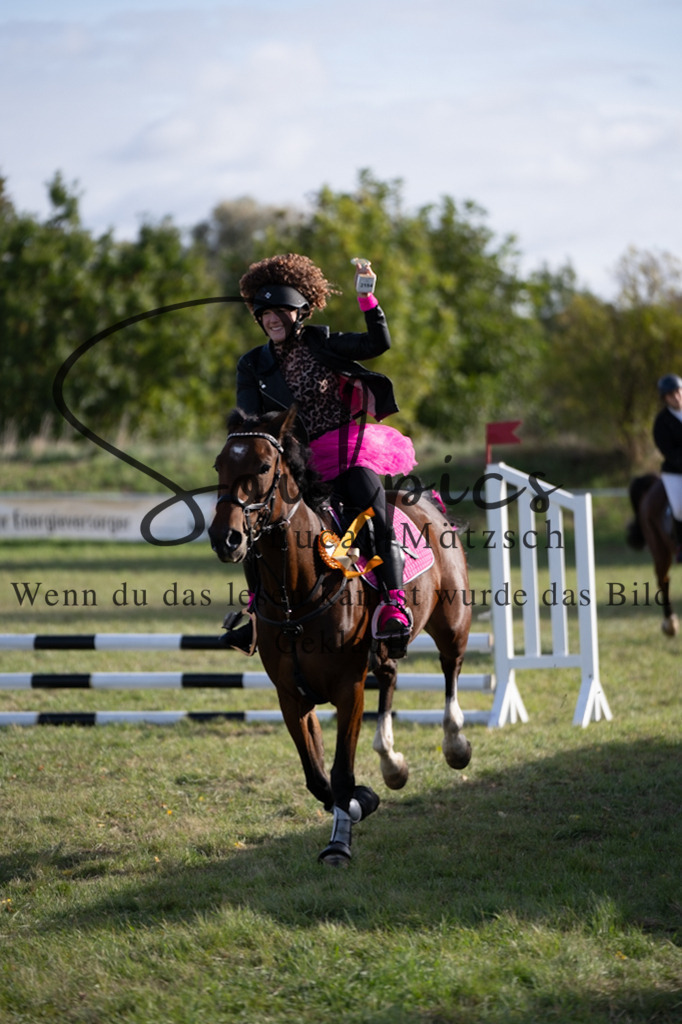 A7V06604 | Pferdefotograf