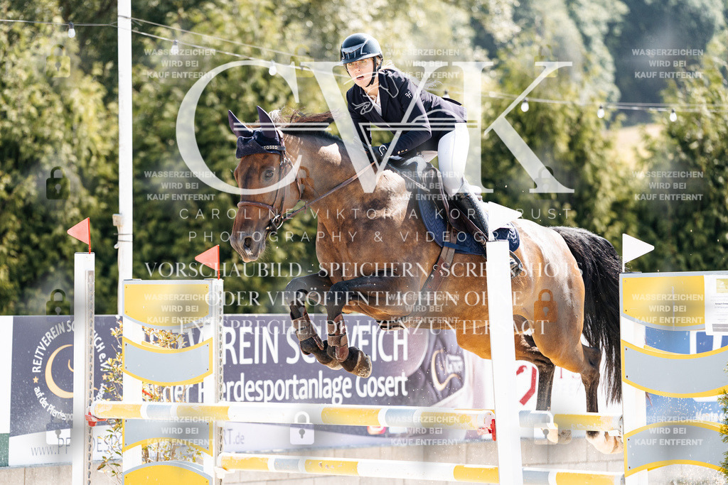 CK908664 | Turnierfotografie Pferdefotografie Trier Rheinland-Pfalz Pferdesport Reitsport Tierfotografie Sportfotografie Pferdevideo Pferdevideografie Equestrianvideography equestrianphotography  - Realisiert mit Pictrs.com