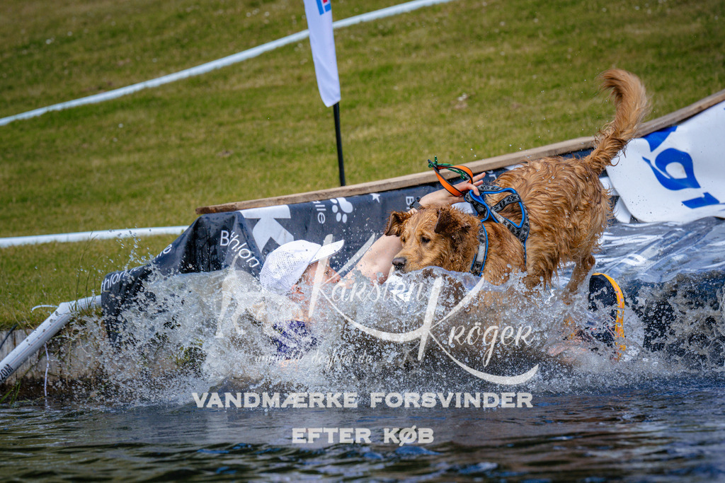 _ZZ949571004 | kk-dogfotos