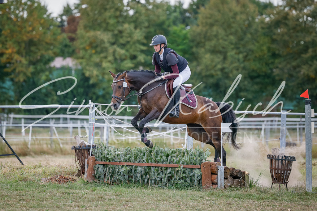 20250905-_3LI0579 | Tierfotografie Pferde, Hunde, Katzen, Haustiere.
Turnierfotografie Reitturniere, Reiten, Springreiten, Dressur in Hanau, dem Main-Kinzig-Kreis und dem Rhein-Main- Gebiet um Frankfurt