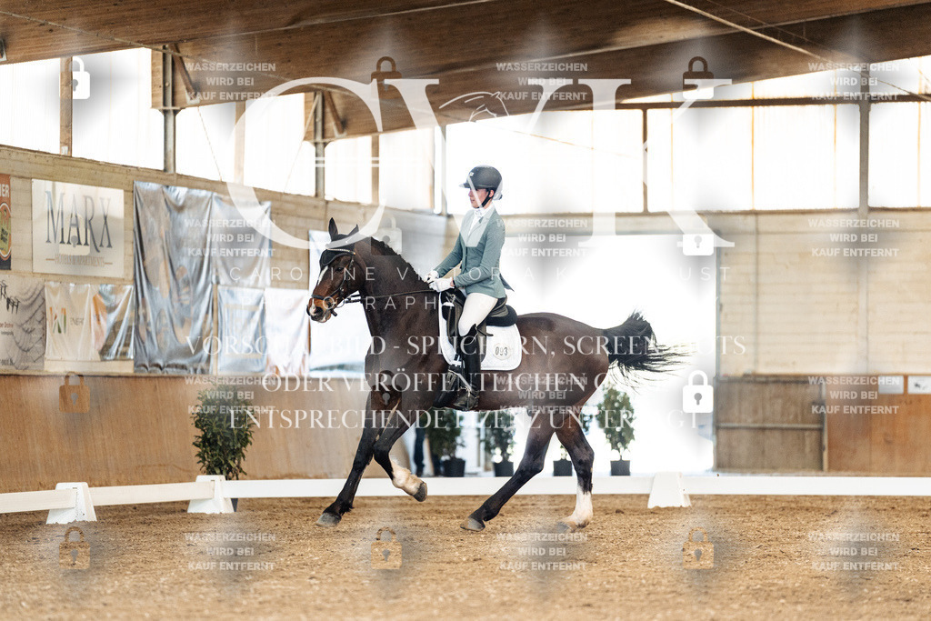 CK900968 | Turnierfotografie Pferdefotografie Trier Rheinland-Pfalz Pferdesport Reitsport Tierfotografie Sportfotografie Pferdevideo Pferdevideografie Equestrianvideography equestrianphotography  - Realisiert mit Pictrs.com