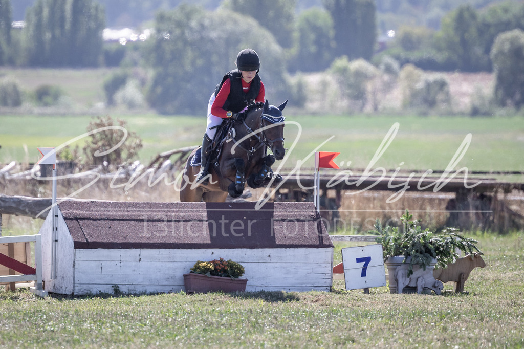 20260906-_3LI2901 | Tierfotografie Pferde, Hunde, Katzen, Haustiere.
Turnierfotografie Reitturniere, Reiten, Springreiten, Dressur in Hanau, dem Main-Kinzig-Kreis und dem Rhein-Main- Gebiet um Frankfurt