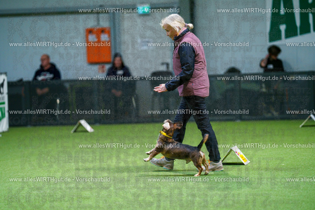 7R505873 | Professionelle Tierfotografie in Mönchengladbach von Daniel Wirth (allesWIRTHgut). Liebevolle & natürliche Bilder von Hunden & Katzen für unvergessliche Erinnerungen.