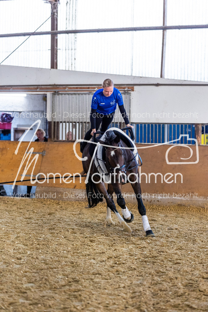 VTD-Voltigierpferde-044 | MomenTaufnahmen Pferdesportfotos