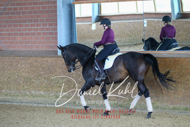 DKP42846 | Turniersportfotografie; Pferdefotografie; Dressurfotografie