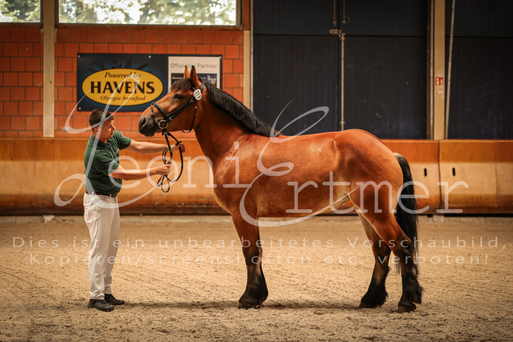 SaFL00007 | Leoni Ertmer Photography - Realisiert mit Pictrs.com