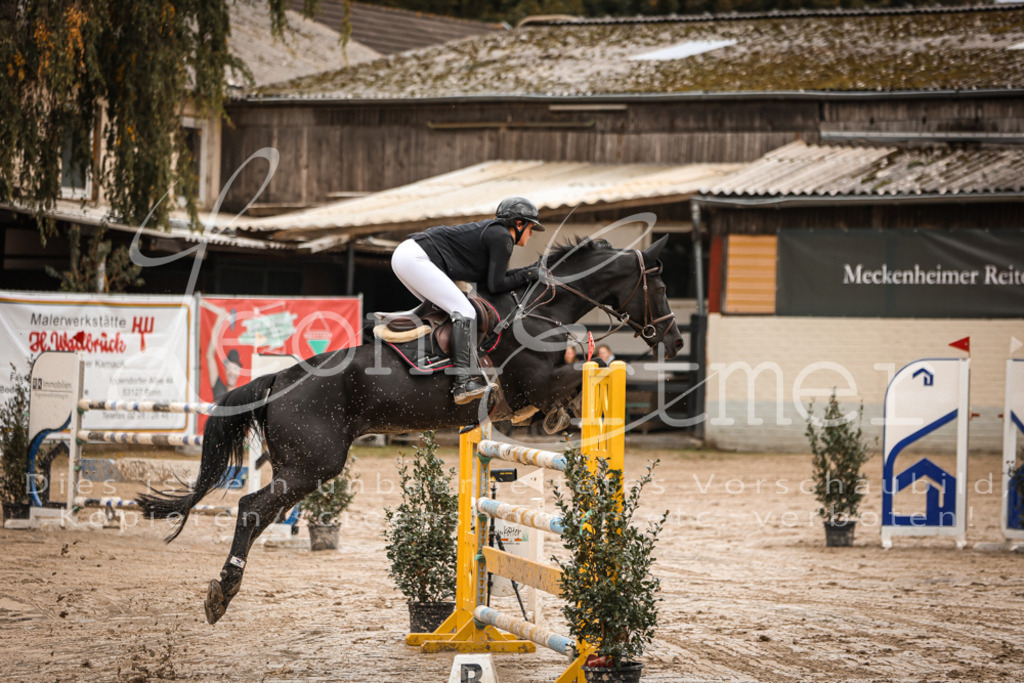 12.SaSpM00061 | Leoni Ertmer Photography - Realisiert mit Pictrs.com