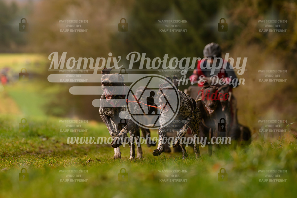 MompixPhotography_2SSTSSBW_2025_SO_Kart-38 | PayLife