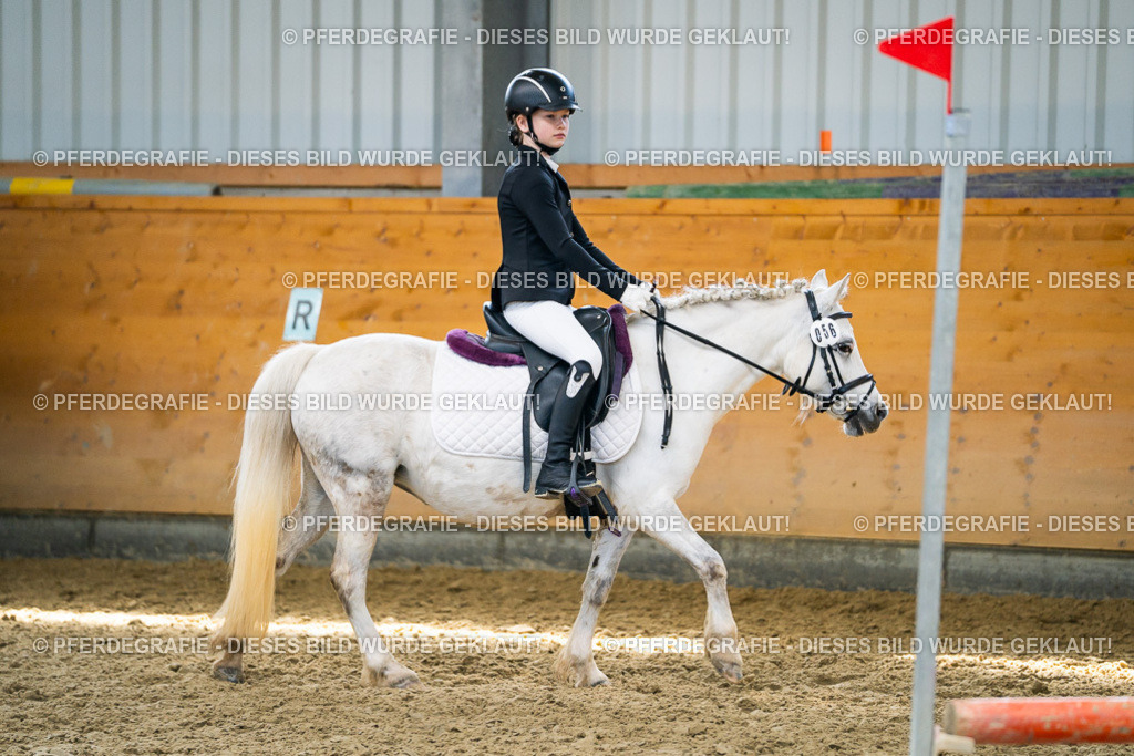 DSC02202 | Pferdegrafie