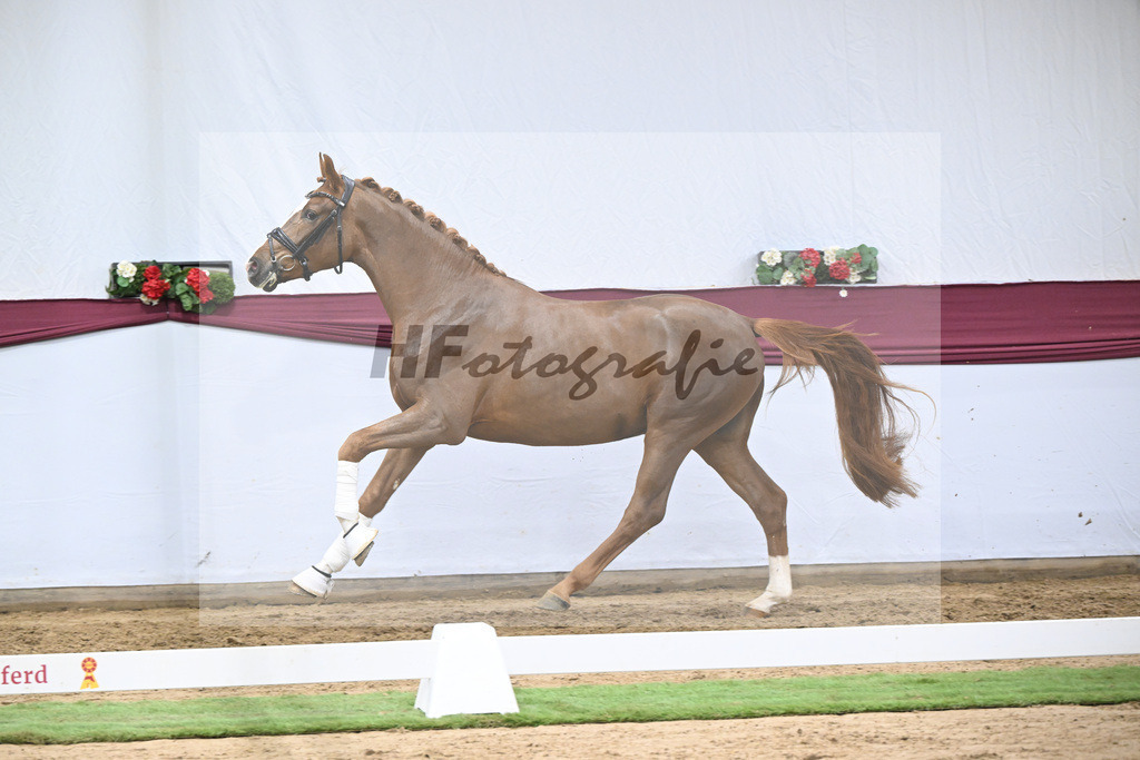 Kat-Nr. 115 Secret x Fidermark_Frieder Heilemann_47254383 | hf-fotografie - Realisiert mit Pictrs.com