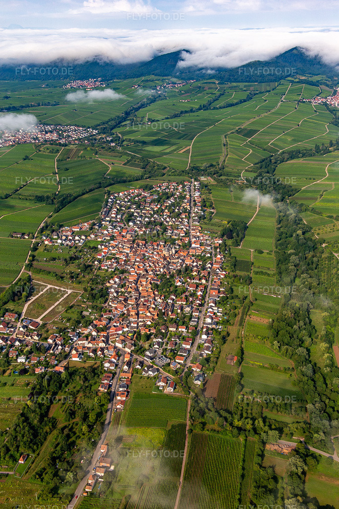 Luftbild: Ortschaft von Osten am Morgen unter Wolken im Ortsteil Arzheim in Landau im Bundesland Rheinland-Pfalz in Deutschland. Foto: IMG_142980.jpg vom 03.08.2024 durch Werner Riehm/FLY-FOTO.de