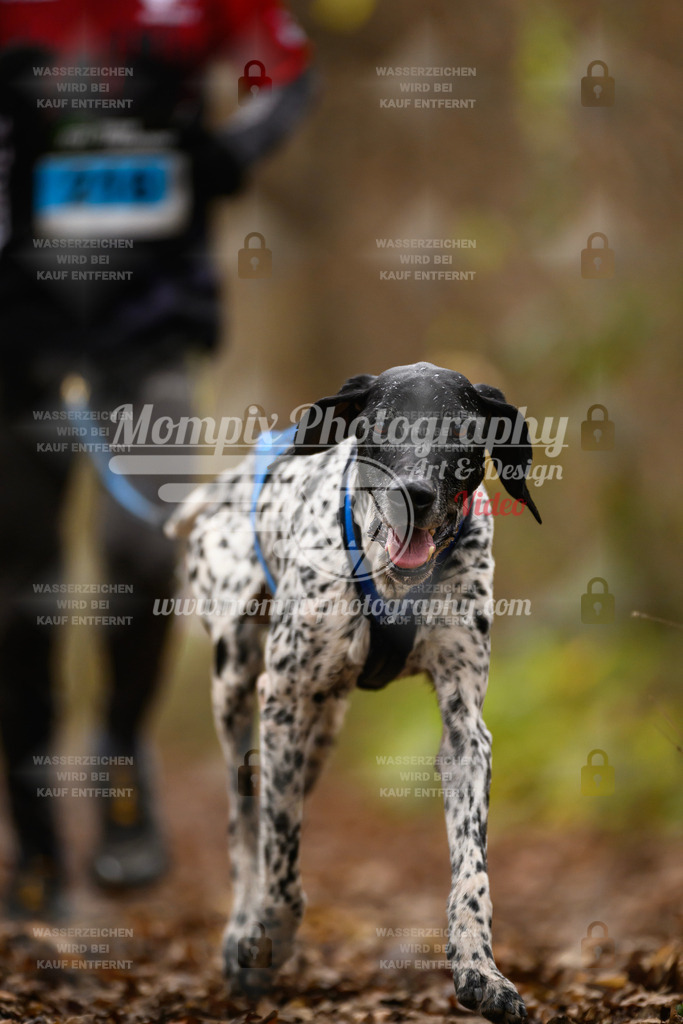 MompixPhotography_Eschau2024_CCC-69 | PayLife
